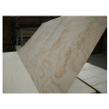 15mm 1220*2440mm softwood CDX plywood with FSC CARB certificate